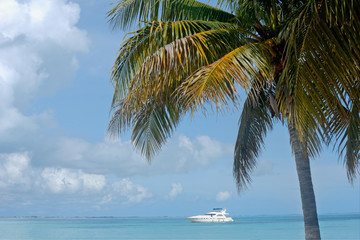 Fototapeta na wymiar A luxury private motor yacht on tropical sea near a tropical Caribbean beach Isla mujeres Mexico