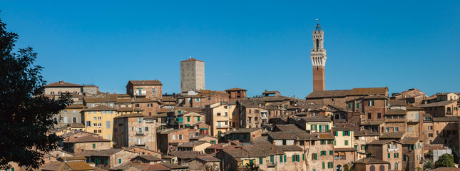 Panorama view of the old town houses in Siena, Italy.