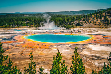 Fototapeta premium Grand Prismatic Spring 