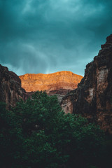 grand canyon at sunset