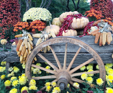 Flower garden decoration with wagon wheels and fruit