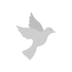 cute dove bird flying icon
