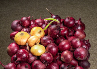 Background of onion red and white