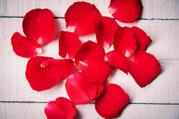rose petals on wooden background , tone vintage style classic / flower red rose petals for valentine day