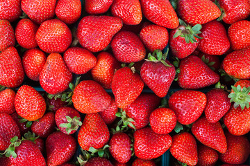 Erdbeeren von oben fotografiert