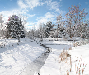 snow covered park with a stream running through it
