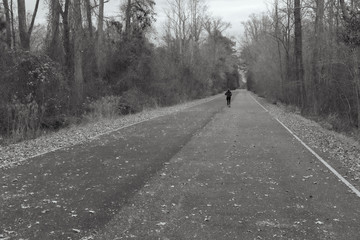 A solitary runner persists down a long path through the woods