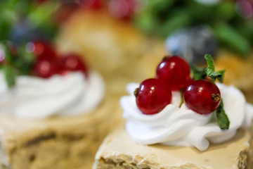 Mini cakes decorated with whipped cream and fresh red currant. Sweet tasty snacks at the party. Food photography. Lots of pastry pieces on the plate