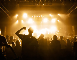 a crowd of people at a concert with a slight blur toned with a retro vintage instagram filter effect
