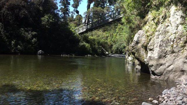A Bridge on a New Zealand walking trail in Kaitoke amongst native bush sliding from right to left