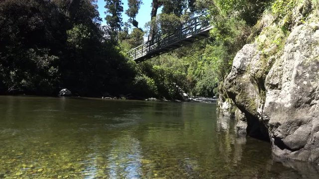 A Bridge on a New Zealand walking trail in Kaitoke amongst native bush sliding from left to right