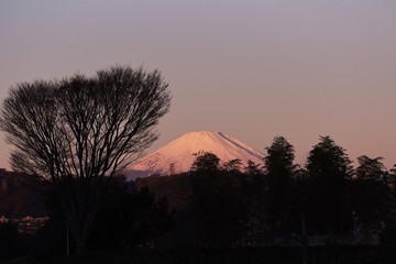 Fototapeta na wymiar Mt. Fuji in early winter in a snow-covered top