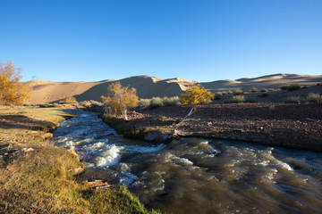 Fototapeta na wymiar steppe and river in Mongolia