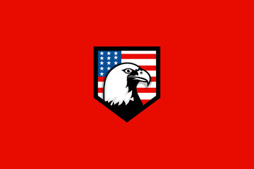 Head of the eagle with american flag, sport logo. red color background. black border. security emblem. veteran or patriot symbol