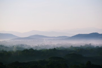 Fototapeta na wymiar fog in the mountains at Doi saket , Chiang Mai , Thailand