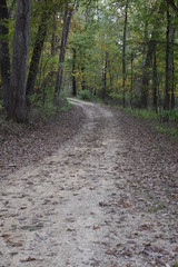 Wooded Path