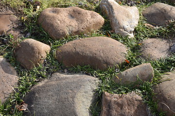 Grassy Rocks