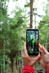 Mobile photography concept. Woman hand holding smartphone and taking photo of green forest 
