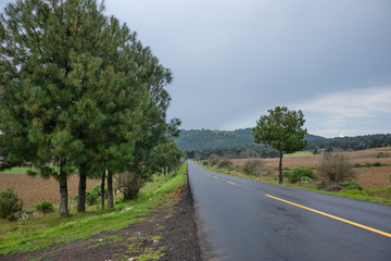Fototapeta na wymiar Vista de carretera en Michoacan