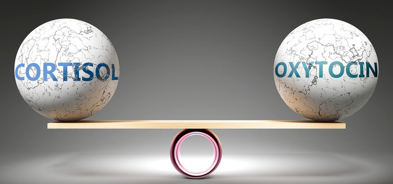 Cortisol and oxytocin in balance - pictured as balanced balls on scale that symbolize harmony and equity between cortisol and oxytocin that is good and beneficial., 3d illustration