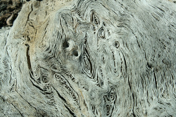 textura de madera y nudos