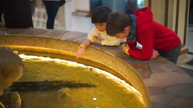 Two boys are playing with fish in the fountain.