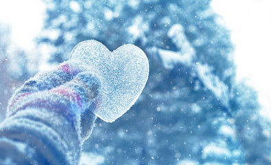 Naklejka na ściany i meble icy heart in hand. concept of love, romantic, February 14, Valentine's day, winter season holiday. atmosphere winter image. frozen heart. copy space