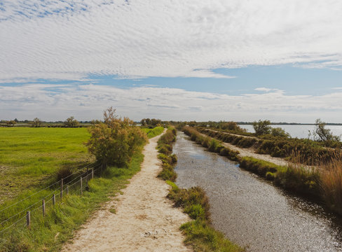 Sous le ciel de Camargue. Sentier th&eacute;matique entre roseli&egrave;res, lagunes et digues