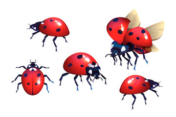 Ladybug or ladybird, red with black spots beetle, winged flying insect set of cartoon realistic vector illustrations isolated on white background, coccinella close-up, top and side view