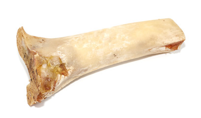 Fototapeta premium Animal bones isolated on white background. leftover food closeup