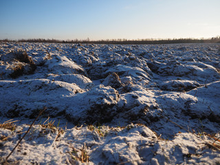 Agricultural field under the first snow