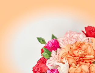soft and air carnation flowers on light filtered background, space for text