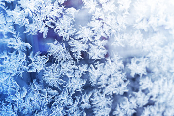 Ice flowers frozen blue window textured background.