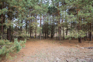 Autumn countryside landscape in fields and meadow. Lake