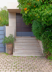 modern house entrance stairs to dark brown door with flowerpot and orange tree
