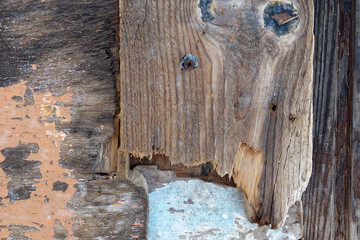 sea worn weathered wood close up background