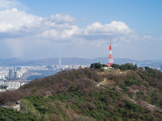 Fototapeta na wymiar タワーがある山