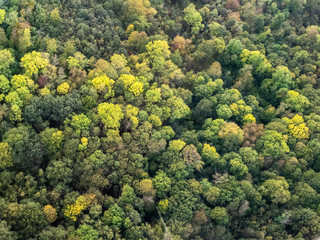 vue aérienne de la forêt à l'automne à  Lainville-en-Vexin dans le Val d'Oise en France