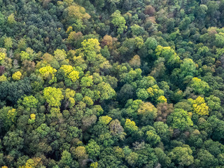 vue aérienne de la forêt à l'automne à  Lainville-en-Vexin dans le Val d'Oise en France - obrazy, fototapety, plakaty