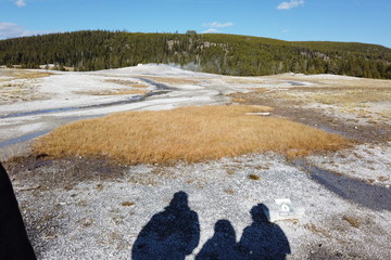 Old Faithful geyser erupting in Yellowstone National Park, WY