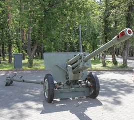  a cannon on wheels stands against a forest