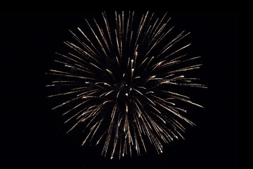 Fototapeta premium Colorful fireworks