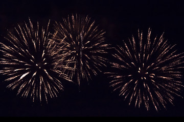 Obraz premium Colorful Fireworks