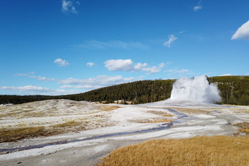 Old Faithful geyser erupting in fall, Yellowstone National Park, WY