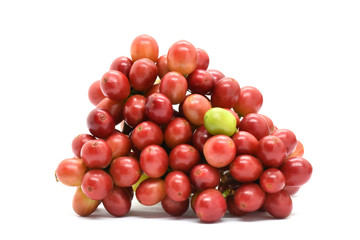 Coffee berries red green on white background.