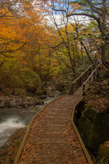 Hiking trail in Autumn , Fukushima Prefecture with waterfall