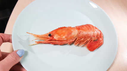 Close-up of lone shrimp on a blue plate. Delicious shrimp ready to eat