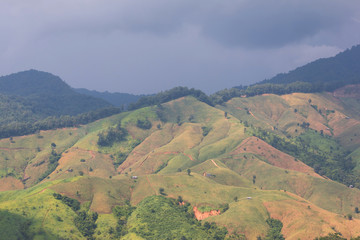 Naklejka premium Forests in Thailand have been destroyed to grow corn