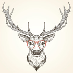 Hand drawn graphic sketch illustration of a deer head with big antlers and with red glasses