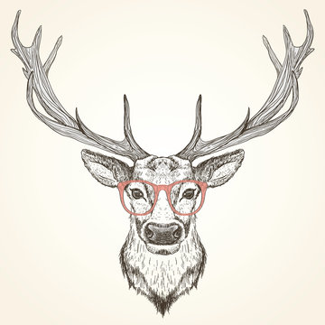 Hand drawn graphic sketch illustration of a deer head with big antlers and with red glasses